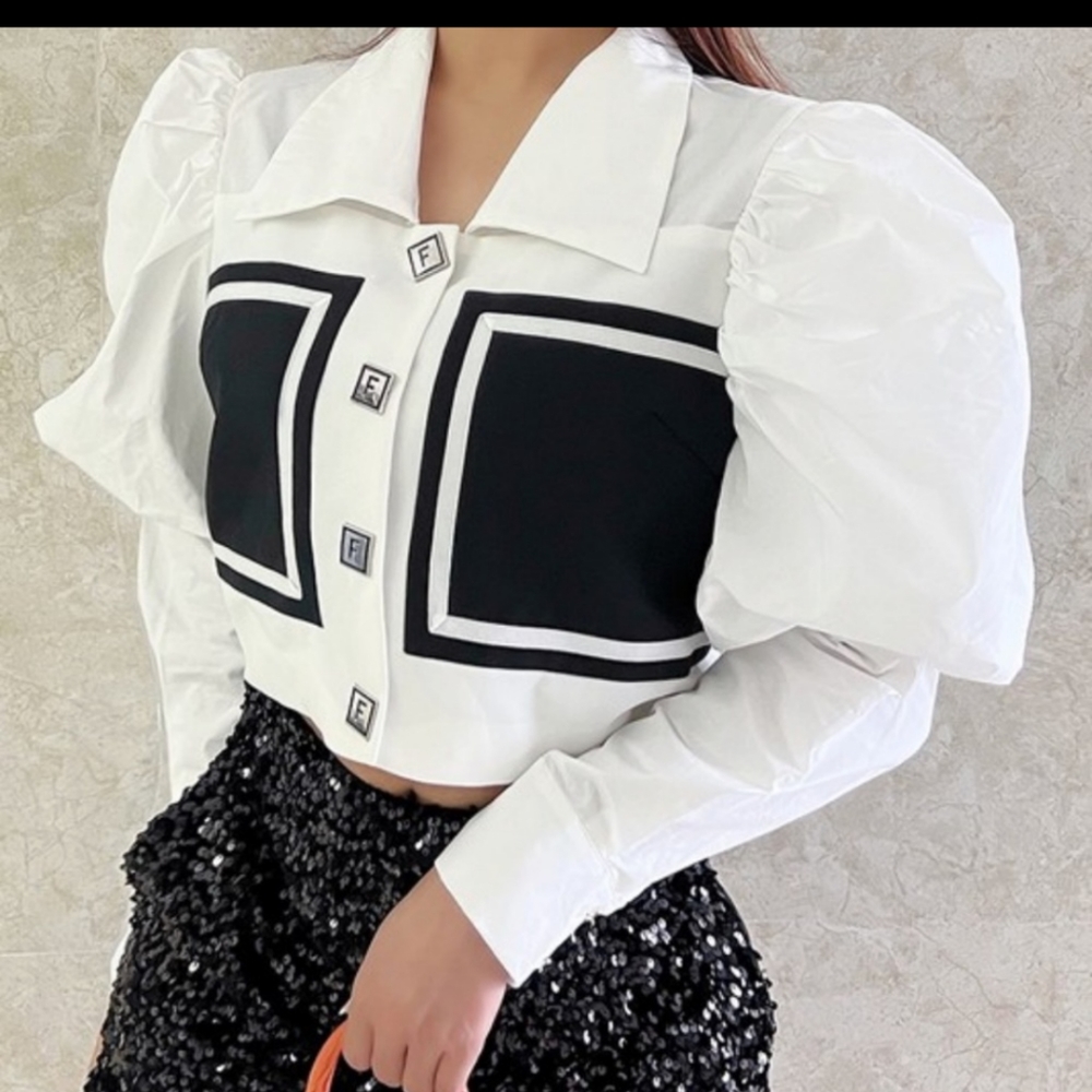 Puff Sleeves Color Block Blouse SZ LG NWT